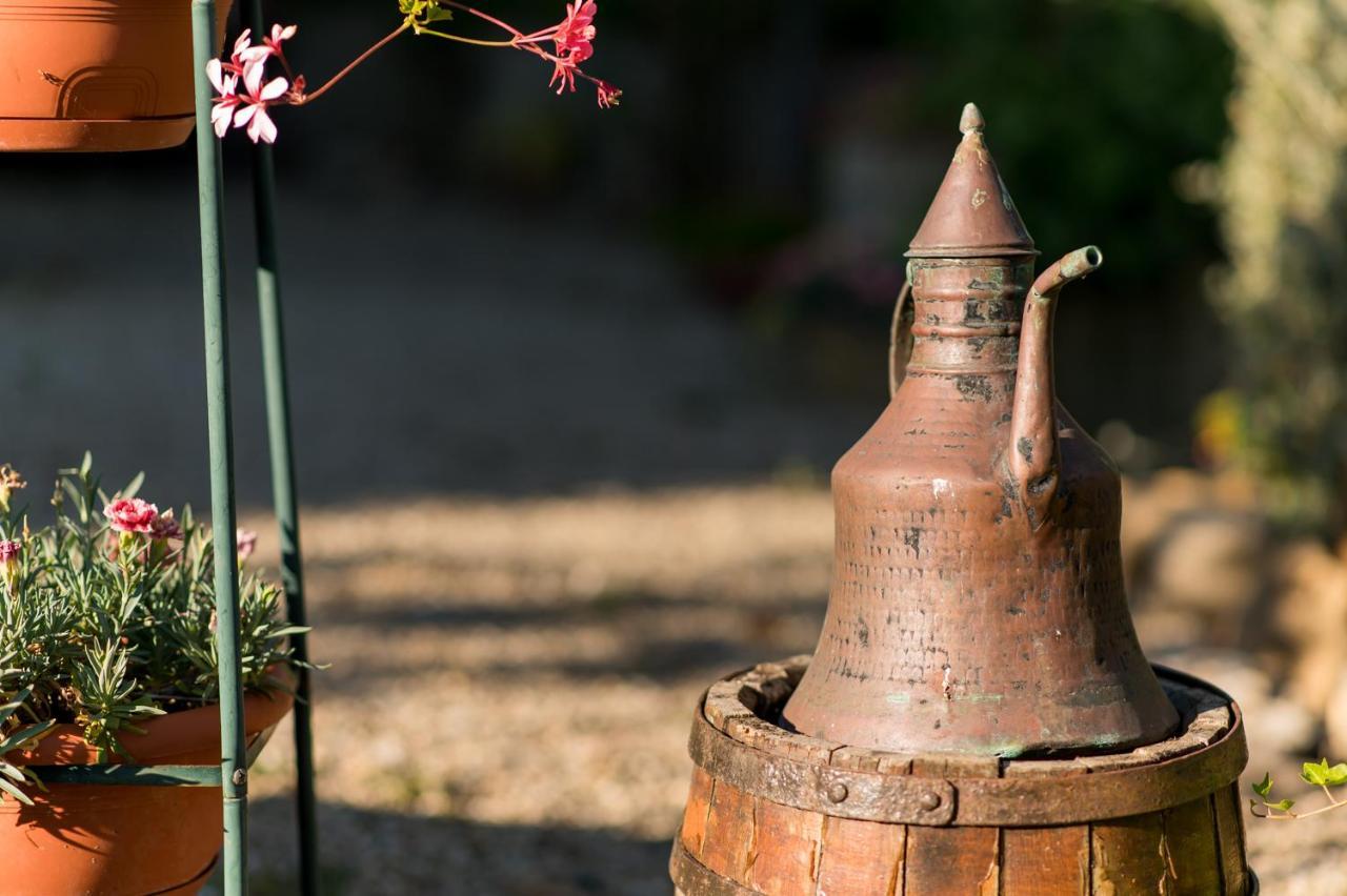 Il Leccio - Casa Toscana Il Fienile Гамбаси Терме Екстериор снимка